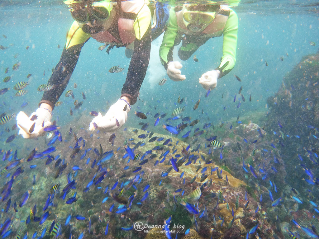 龍洞浮潛