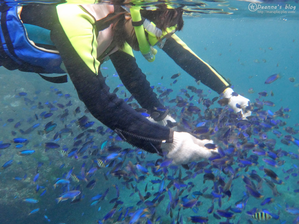 龍洞浮潛