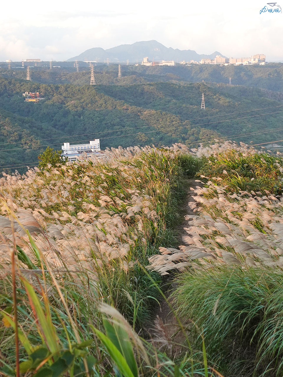 三角埔頂山步道