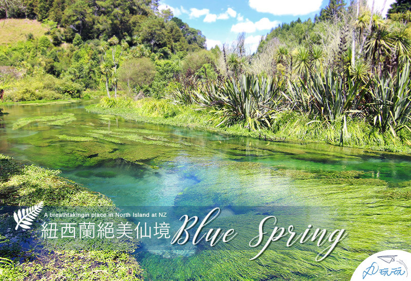 紐西蘭blue spring