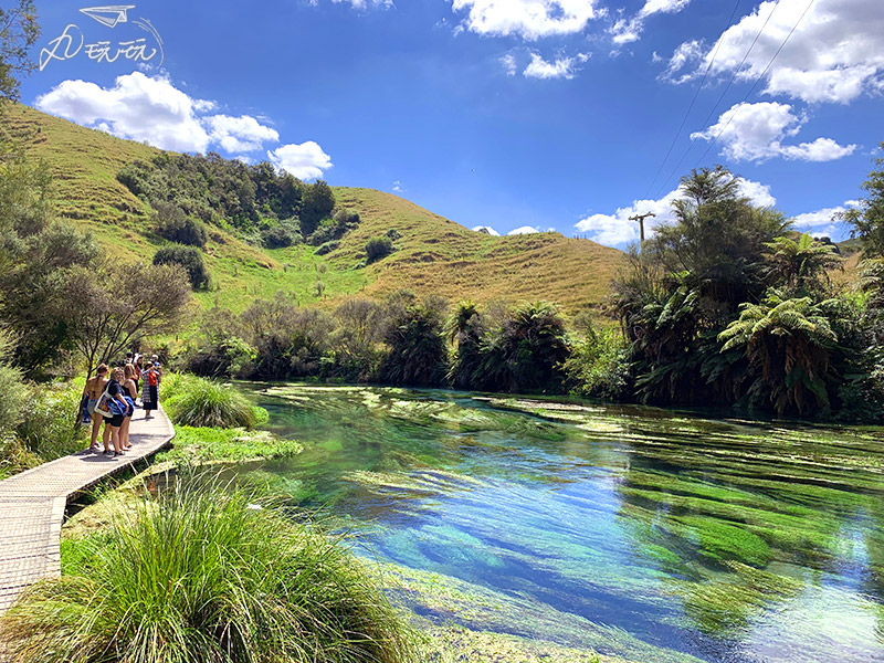 紐西蘭blue spring