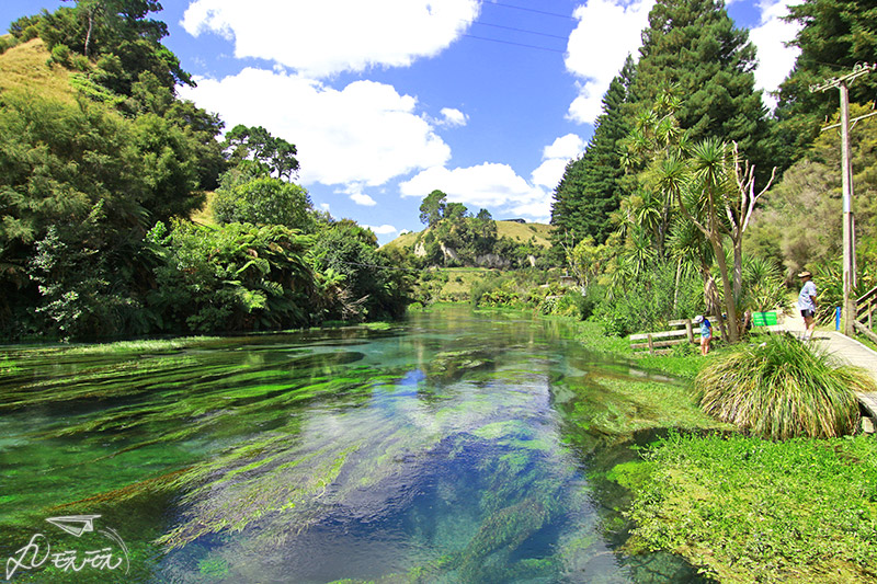 紐西蘭藍泉