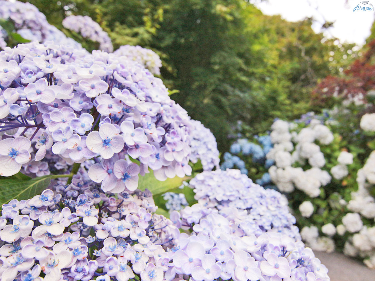 基督城植物園