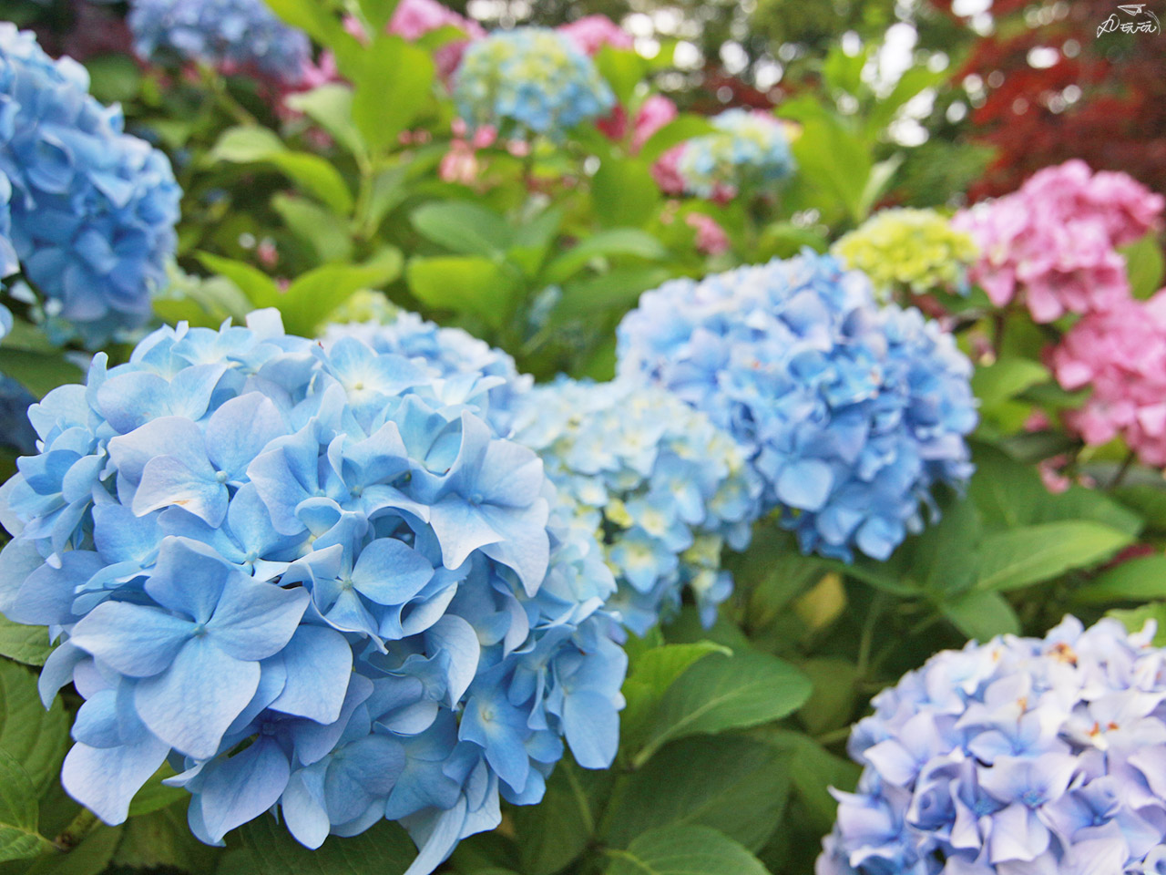 基督城植物園