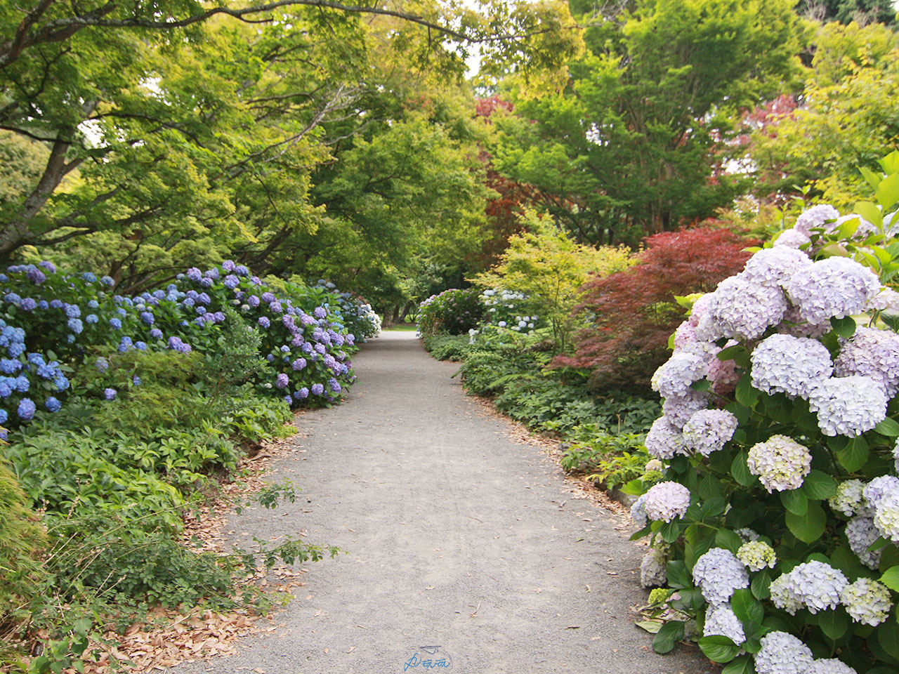 基督城植物園