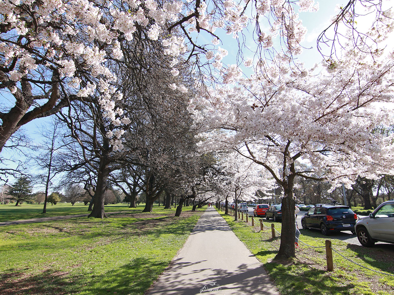 基督城海格利公園