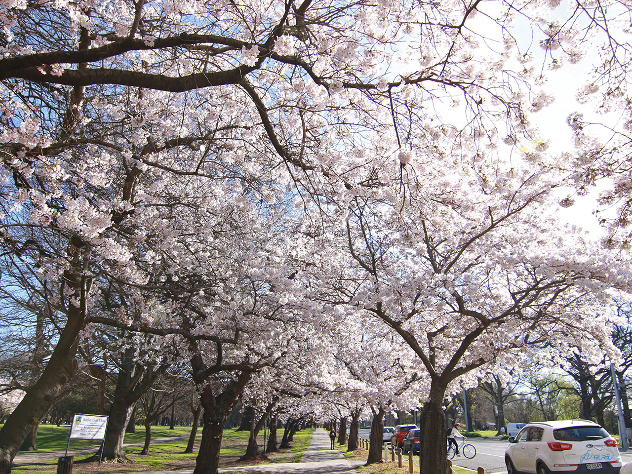 基督城海格利公園