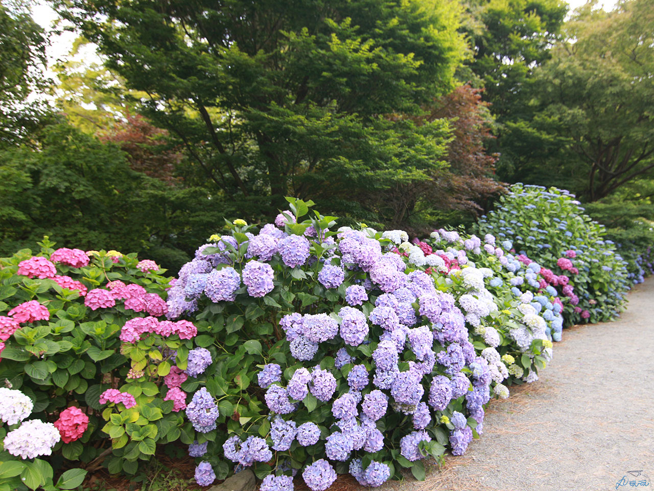 基督城植物園