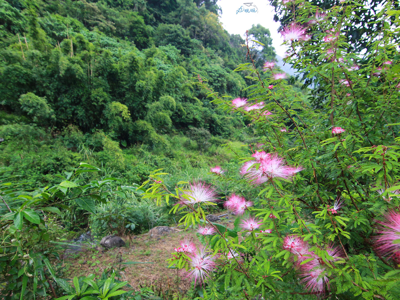 藏就酒莊園區