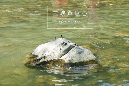 三峽鴛鴦谷烤肉