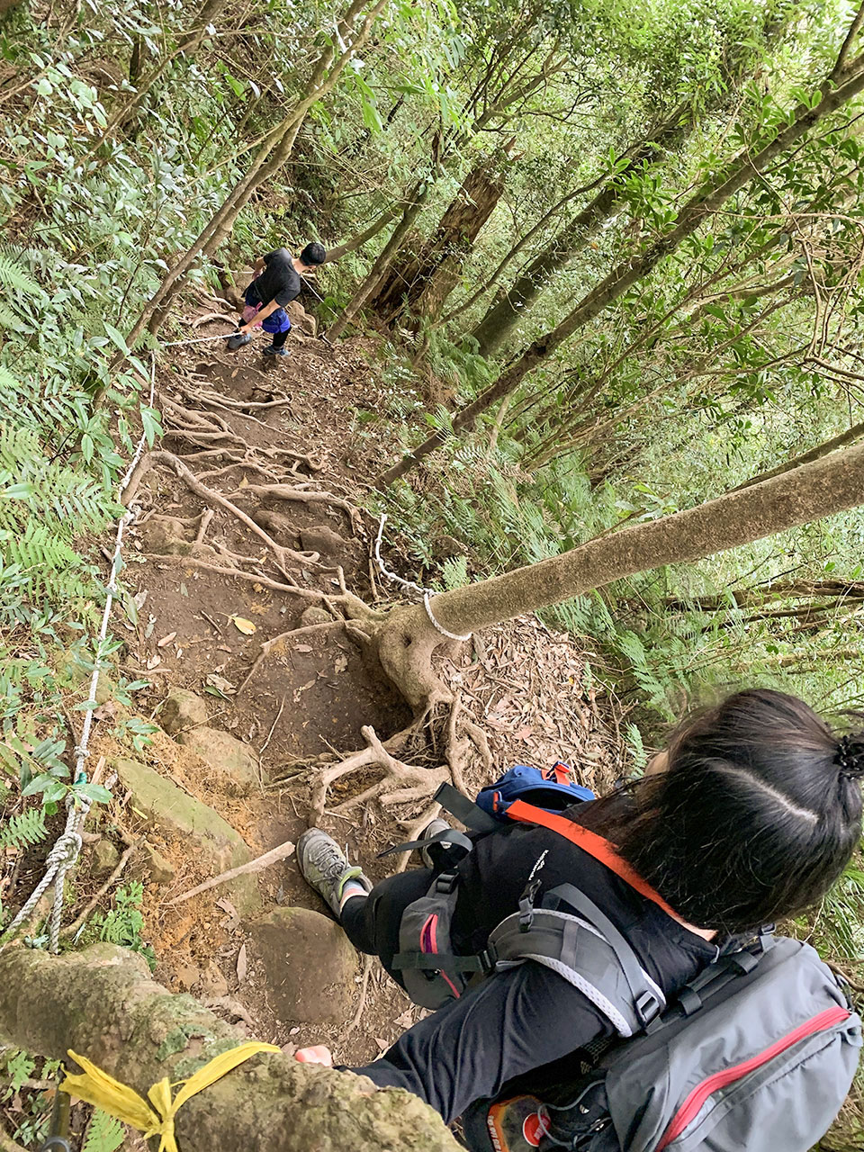 內鳥嘴山難度