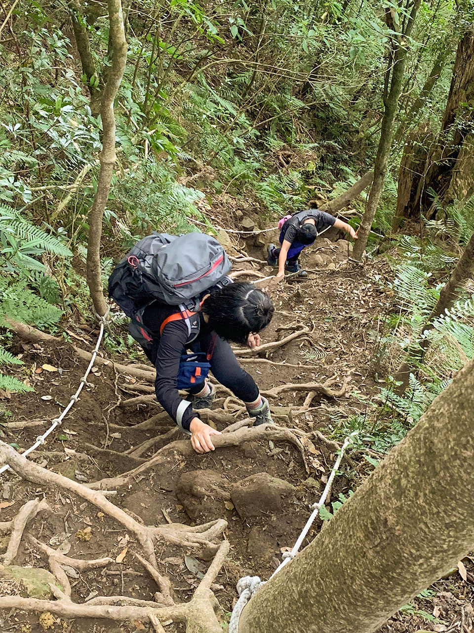 內鳥嘴山難度