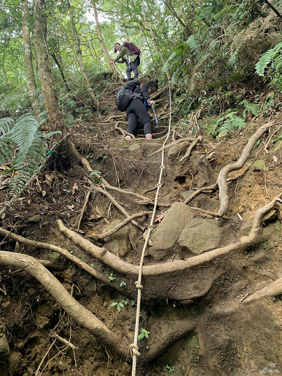 內鳥嘴山難度