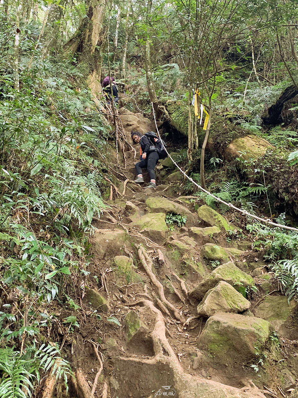 內鳥嘴山難度