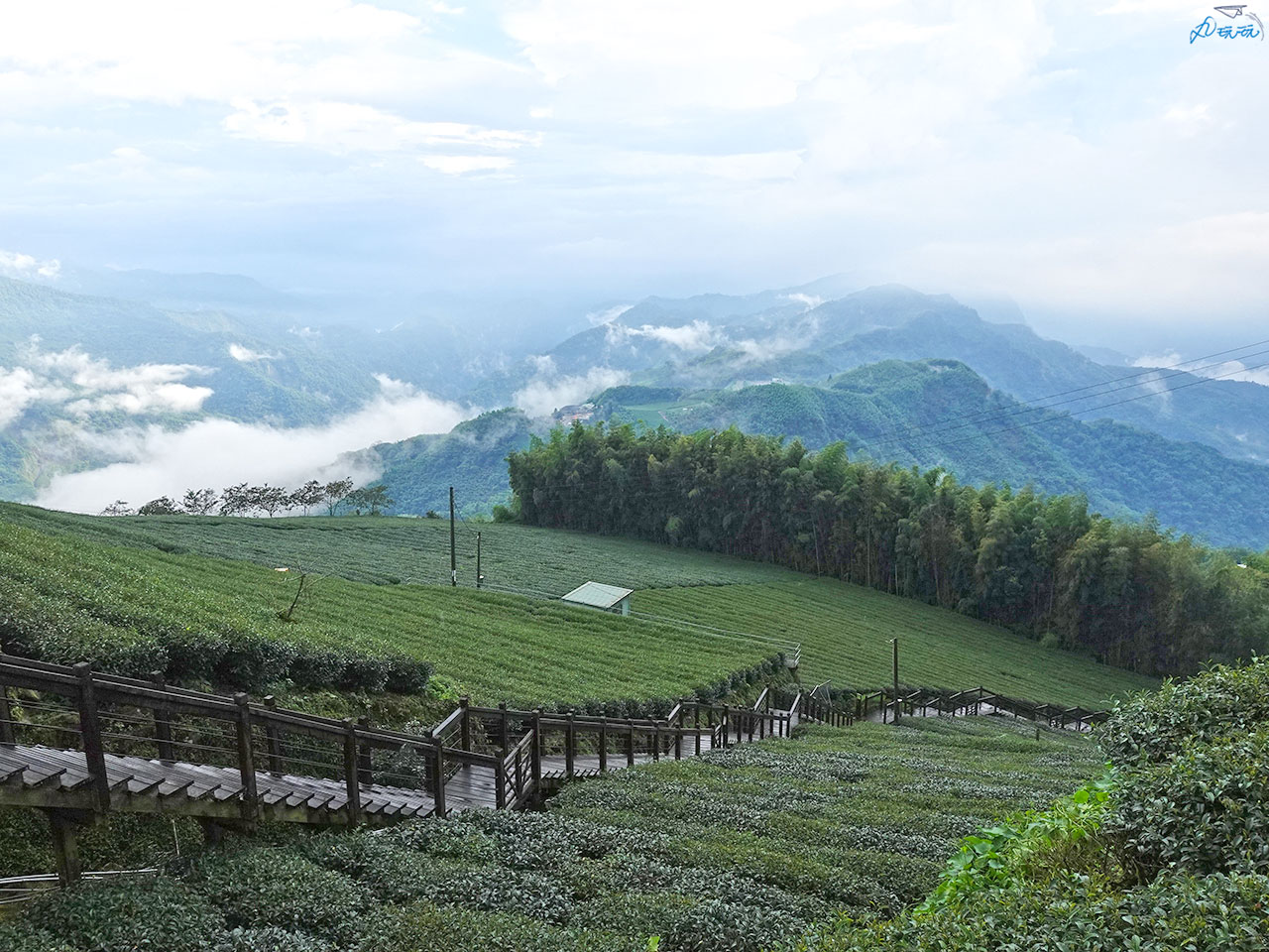 阿里山霞之道步道