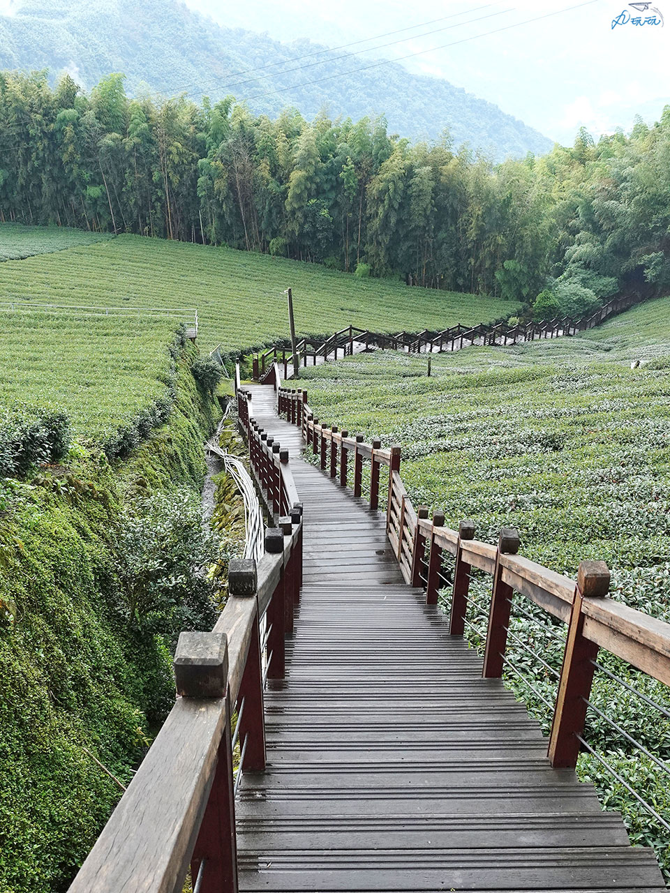 嘉義石棹步道