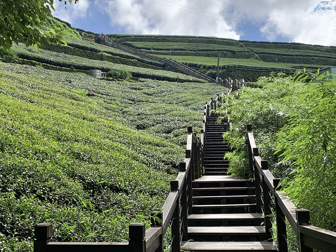 嘉義石棹步道