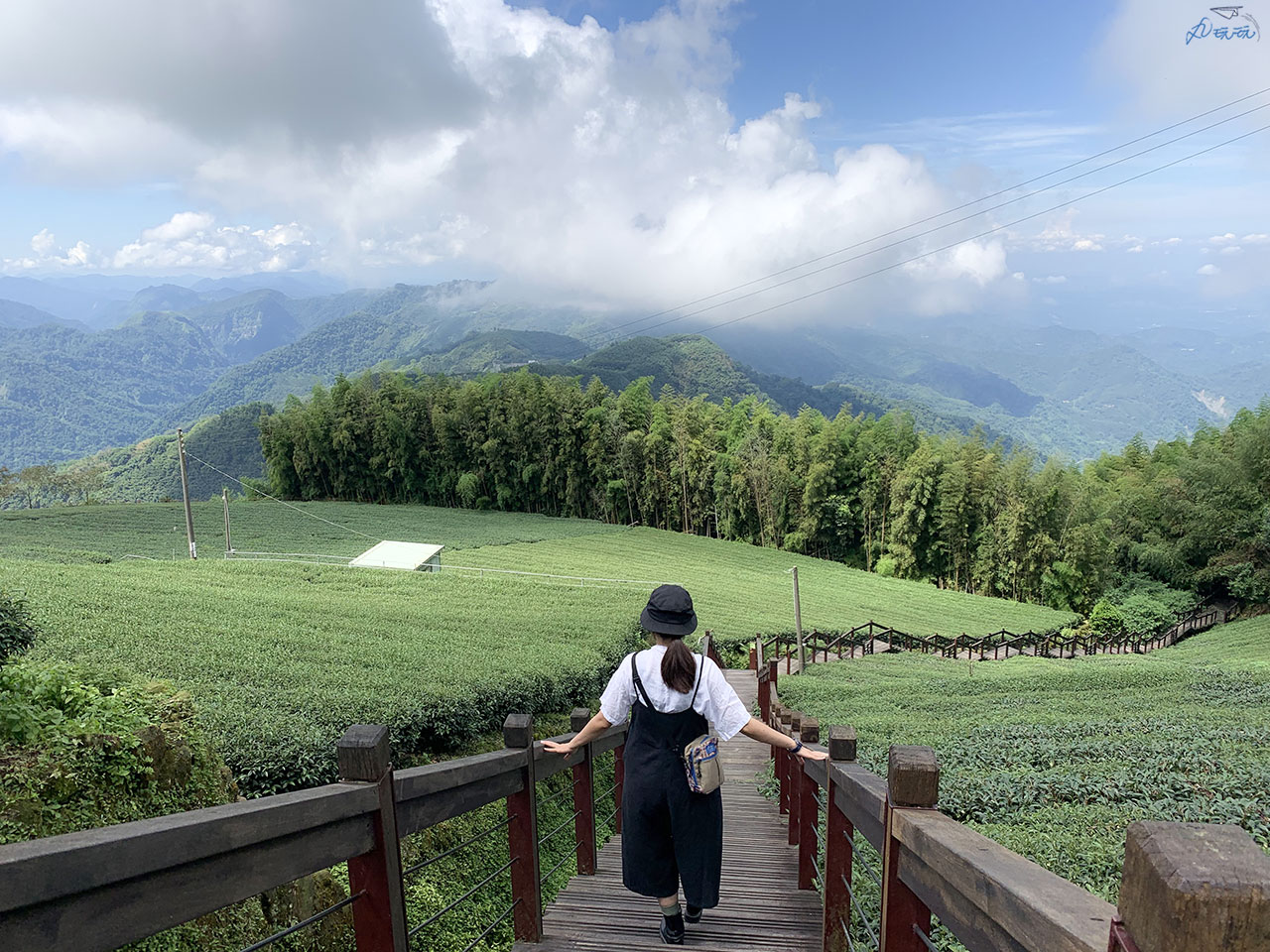 阿里山石棹步道